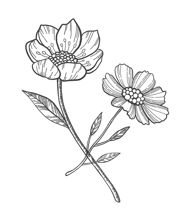 Blumen_bg_1