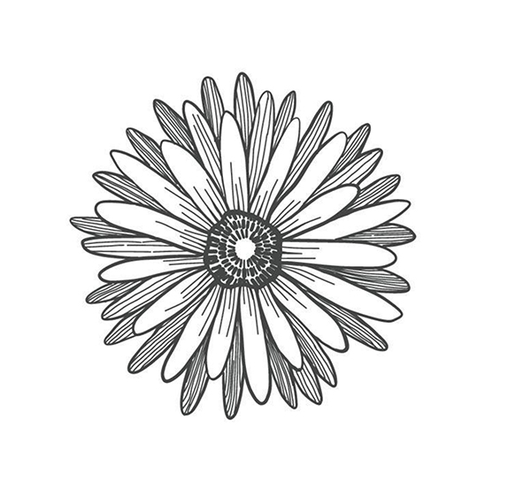 Blumen_bg_2